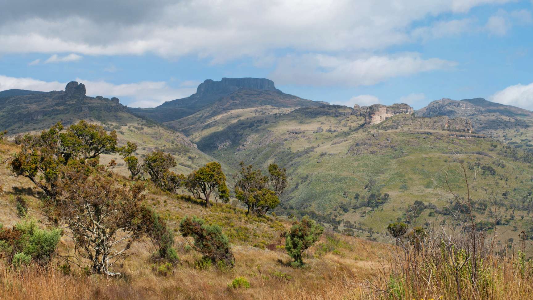 mount elgon